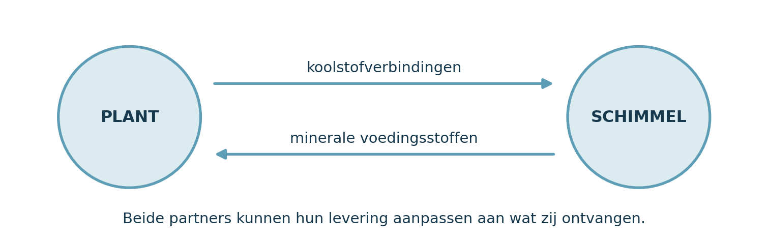 Schema van de wederzijdse uitwisseling tussen een plant en een mycorrhizaschimmel: koolstofverbindingen in de ene richting en minerale voedingsstoffen in de andere.